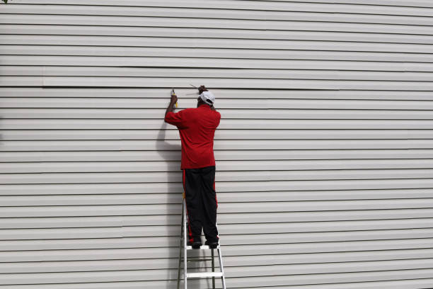 Best Custom Siding Design  in Santa Rosa, CA